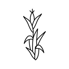 corn plant green line icon vector illustration