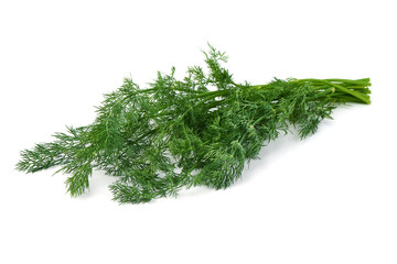 Bunch fresh green dill isolated on white background.