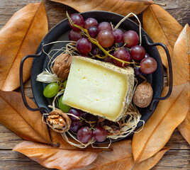 pecorino cheese with mountain hay, in autumnal background with black grapes