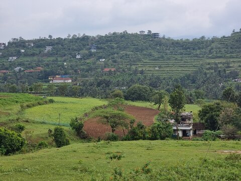 agricultural fields in attappady or attappadi  in kerala, india.