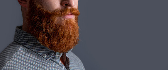 Guy crop view with beard half turn. Unshaven face with red beard and moustache