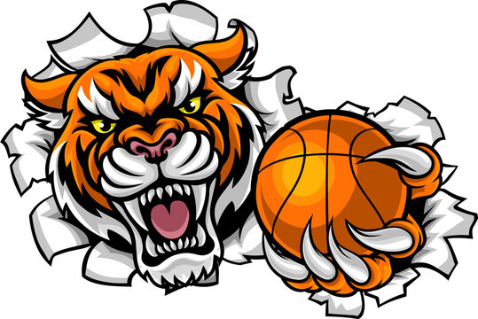 Tiger Holding Basketball Ball Breaking Background