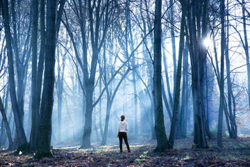 Fototapeta Sylwetka kobiety w lesie, we mgle o poranku, Silhouette of a woman in the forest in the morning mist obraz