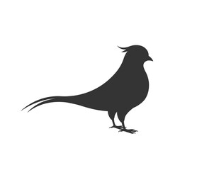 Silhouette of a pheasant standing on two legs