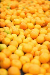 bio ecologic oranges selected of Spain