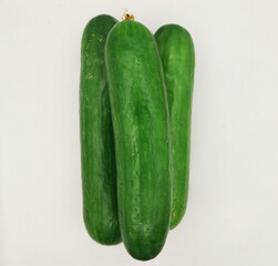 Green cucumbers, isolated on a white background. A fresh vegetable photography