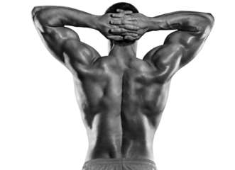 Sports on transparent background. Strong Athletic Man Fitness Model Torso showing back and biceps muscles. Isolated on white background with copyspace.