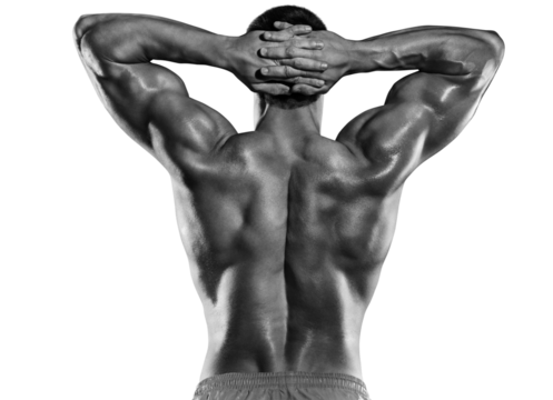 Sports on transparent background. Strong Athletic Man Fitness Model Torso showing back and biceps muscles. Isolated on white background with copyspace.