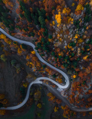 aerial video shot of asphalt country road surrounded by colorful trees.Şavşat.Artvin.Turkiye