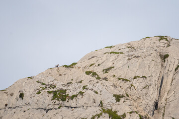 Beautiful landscape of a rocky mountain with a group of mountain goats climbing up the rocks and...
