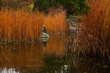 Japanese garden pond in Budapest 2022 November