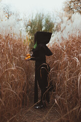 Lady in black apparel scenic photography. Gothic wear. Picture of woman with autumn field on background. High quality wallpaper. Photo concept for ads, travel blog, magazine, article