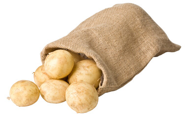 potatoes