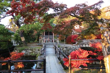 Japanese shrines and temples : a view of Benzaiten Subordinate Shrine in the precincts of Kiyomizu-dera Temple in Kyoto City in Japan 日本の神社仏閣：京都市の清水寺境内にある末社弁財天の風景	
