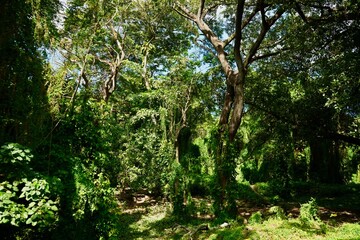 Havana Cuba 2022 November