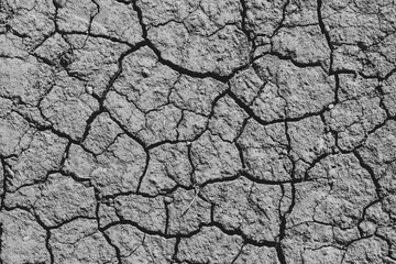 dry cracked earth