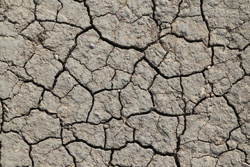 dry cracked earth