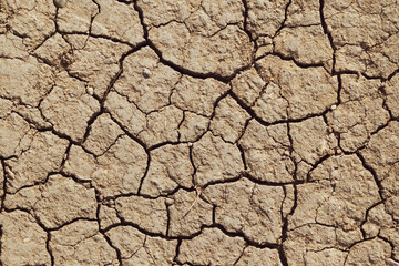 dry cracked earth