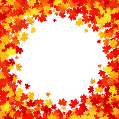 Obraz premium Maple leaves round frame isolated PNG