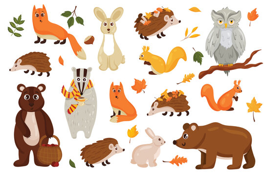 Beautiful autumn theme animals set