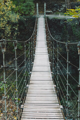 Obraz premium bridge in the forest