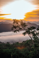 sunrise over the mountain with misty sea and tree