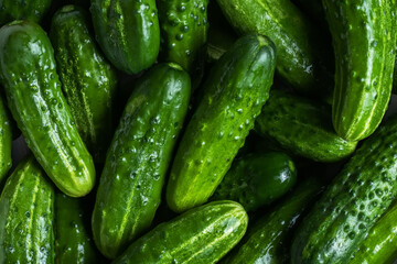 Fresh green cucumbers. Texture pattern background green cucumbers. Image fresh green cucumbers