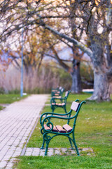 Empty bench in the autumn park in village Szigliget of Hungary.