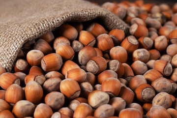 Hazelnuts, filbert in burlap sack on wooden backdrop. heap or stack of hazelnuts. Hazelnut background, healty food