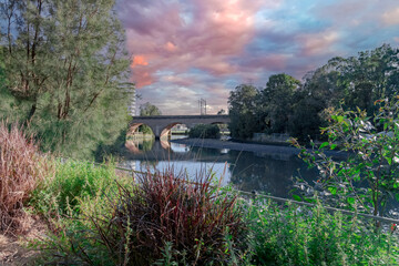 Cooks river in Canterbury Sydney NSW Australia on a beautiful Spring afternoon magical colours
