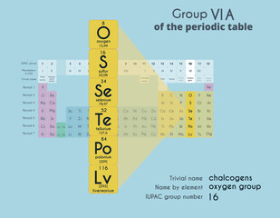 Group 16(6A) of the Periodic Table of Elements. Chalcogens. The oxygen family. Vector color illustration. Poster on the theme of chemistry. Oxygen, sulfur, selenium, tellurium, polonium.