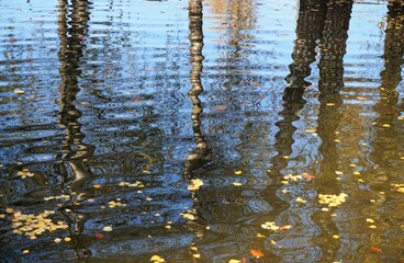 Teichwasser Panorama mit Wellenmuster und Spiegelung von Baumstämmen bei Sonne am Mittag im Herbst