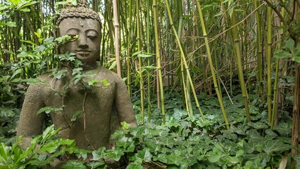 buddha in the bamboo forest