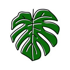 Fototapeta na wymiar monstera plant leaf color icon vector illustration