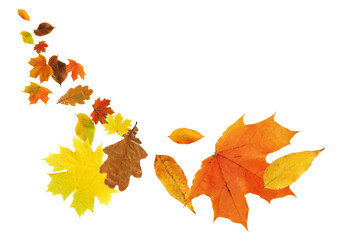 Autumn Leaves Background