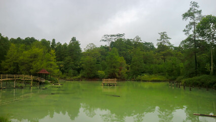 Obraz premium Hot spring lake with green trees