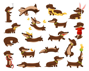 Cute Dachshund Dog Breed Engaged in Different Activity Big Vector Set