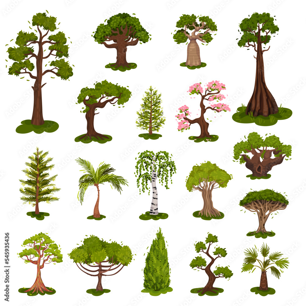 Poster green deciduous and evergreen trees with exuberant tree crown big vector set