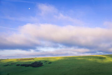 Fototapeta premium Bright sunny November morning on Pea Down near East Dean South Downs East Sussex
