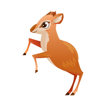 Brown Dik-dik as African Small Antelope with Horns Standing on Hind Legs Vector Illustration