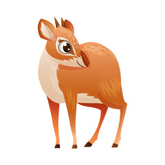 Standing Brown Dik-dik as African Small Antelope with Horns Vector Illustration