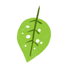 cute hand painted green botanical illustration, leaf