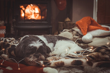 Dog Sleeping By Roaring Log Fire