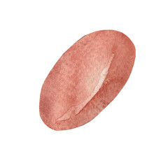 Egg.Farm illustration.Watercolor set of elements on white background.