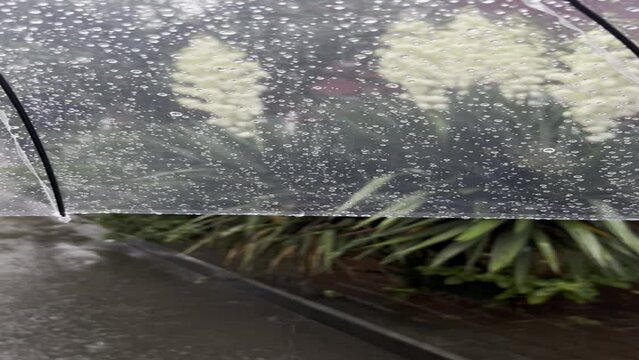 Umbrella in the rain