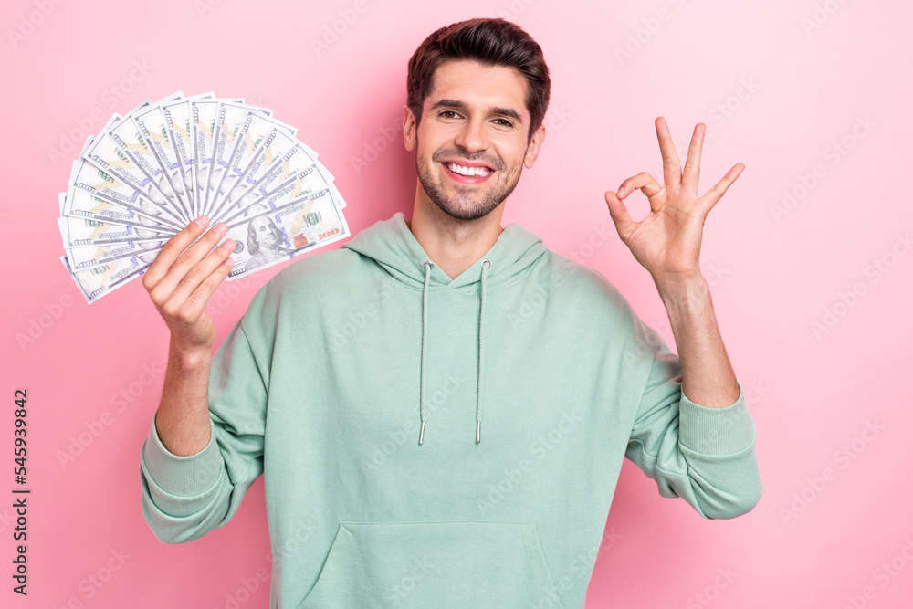 Sticker Portrait of cheerful handsome guy demonstrate okey symbol hold dollar bills isolated on pink color background