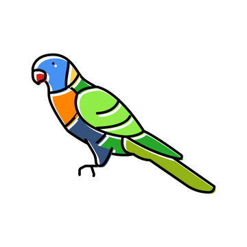 rainbow lorikeet bird exotic color icon vector illustration