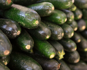 zucchini on a wooden table