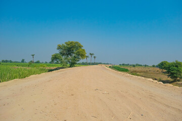 Fototapeta na wymiar Beautiful landscape image of a muddy and dusty track in a village in Punjab, Pakistan.