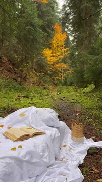 White bed in the rainy forest